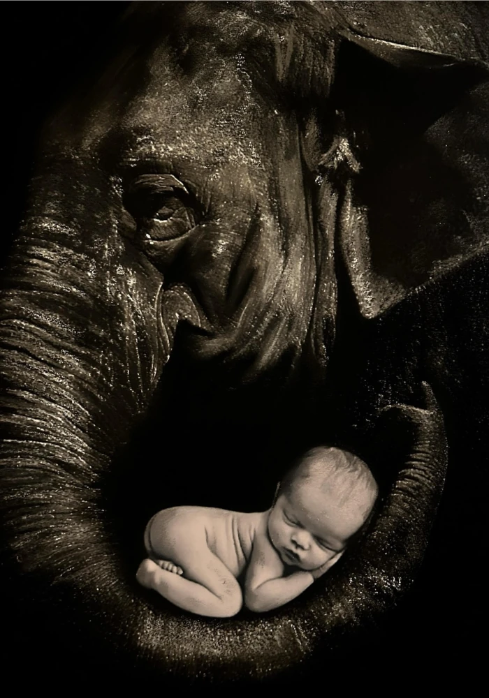 Marine Tassou - Illustratrice Dessinatrice