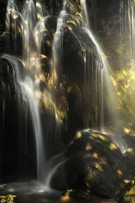 Inscription des artistes et artisans d’art