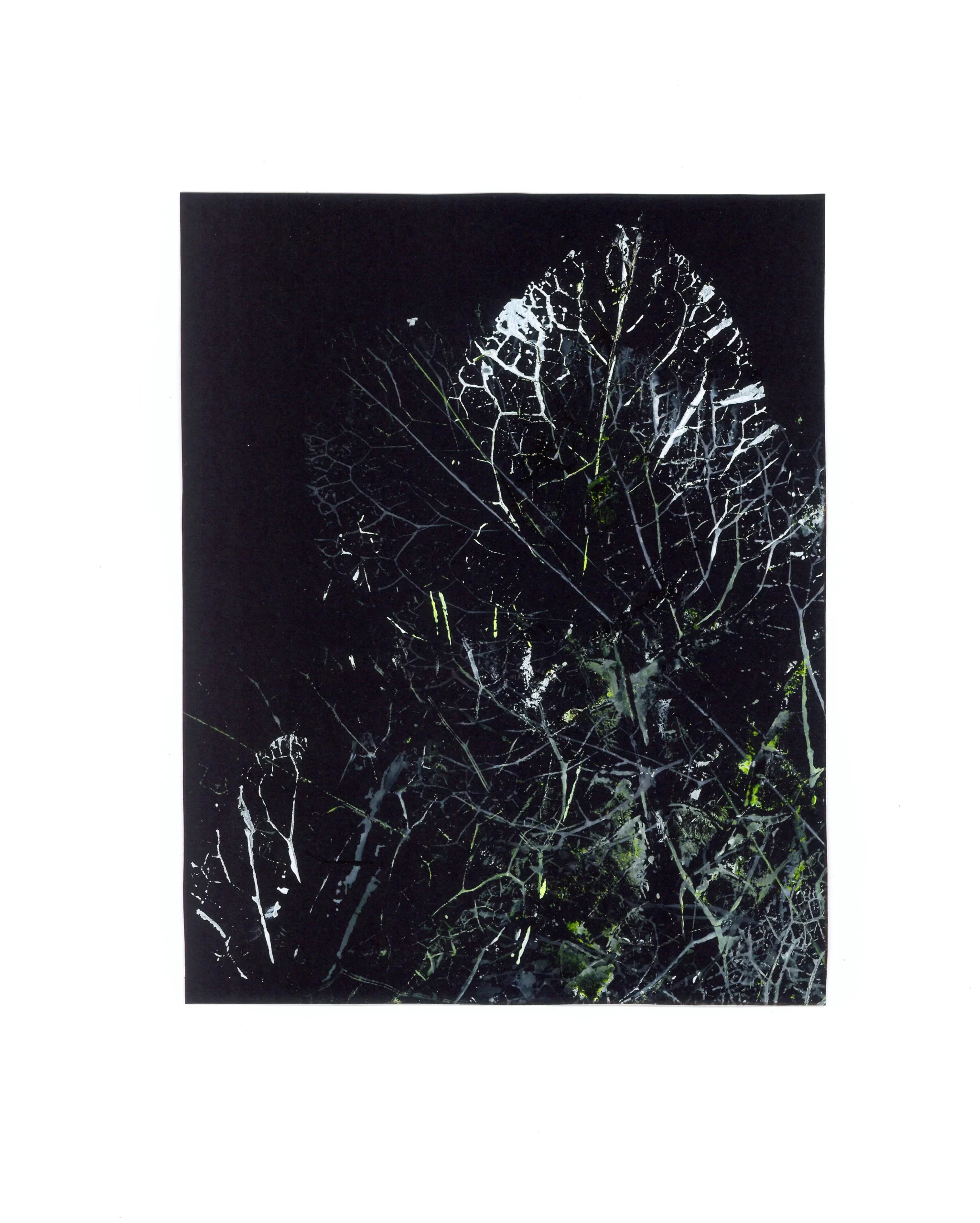 Artiste plasticien dordogne