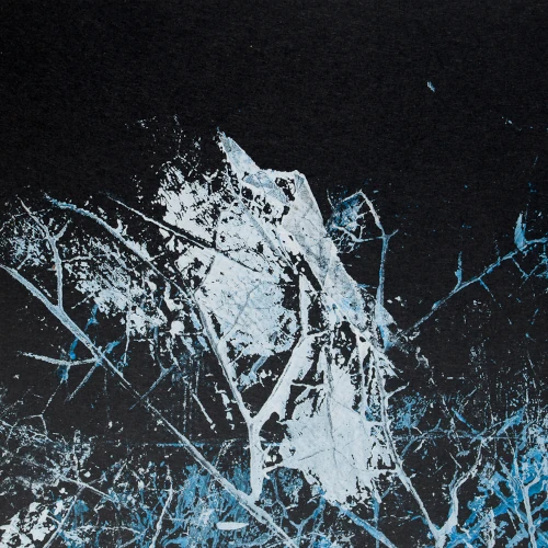 Thomas Radujkovic Artiste plasticien
